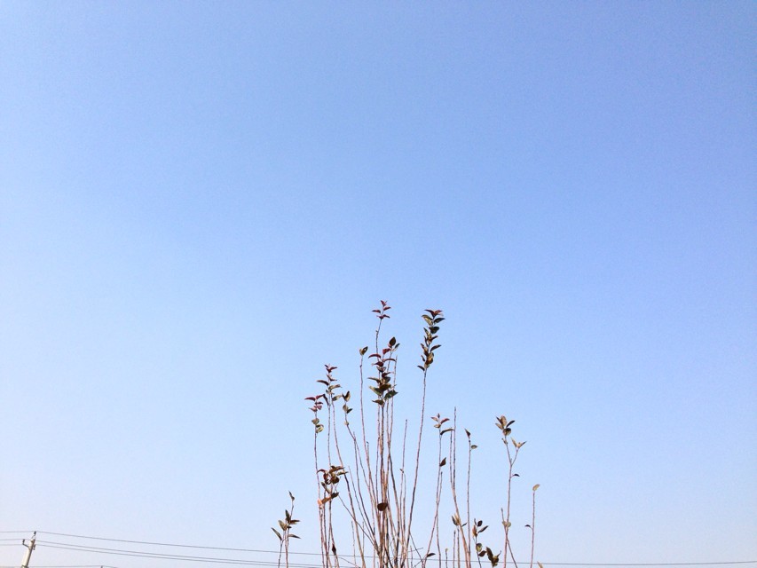 孩子上私立学校的利弊有哪些?小学上私立好吗?上私立需要什么条件