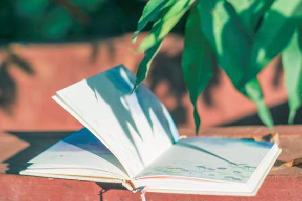 孩子上私立学校的利弊有哪些?小学上私立好吗?上私立需要什么条件