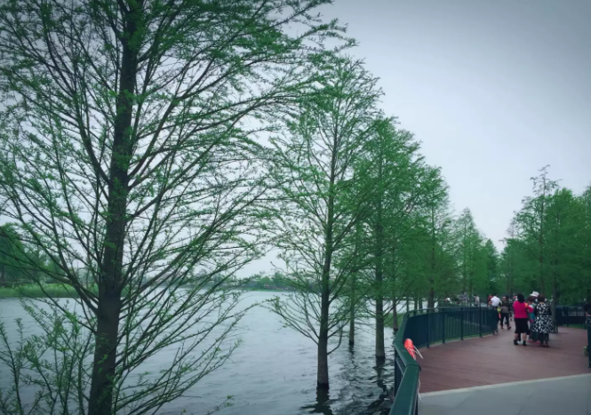 孩子上私立学校的利弊有哪些?小学上私立好吗?上私立需要什么条件