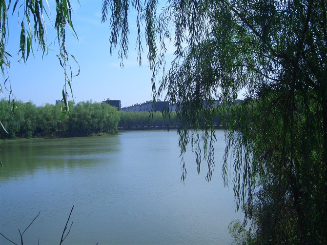 全国师范类考研学校难度排名揭秘?考研难度最低的师范大学推荐?