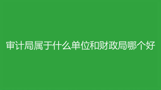 审计局是做什么的属于什么单位?审计局工资多少和财政局哪个好?