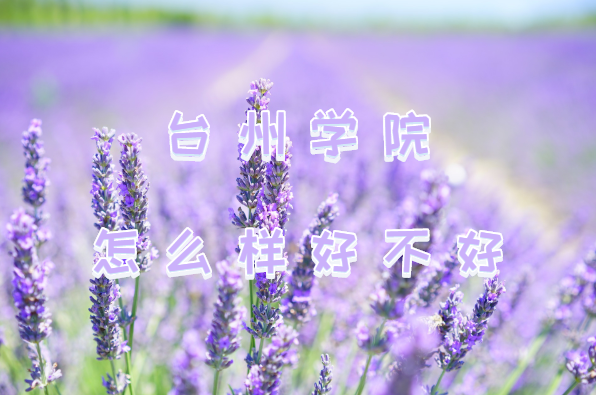 1647503562129366.png 台州学院怎么样好不好?(王牌专业、院校口碑、全国排名)