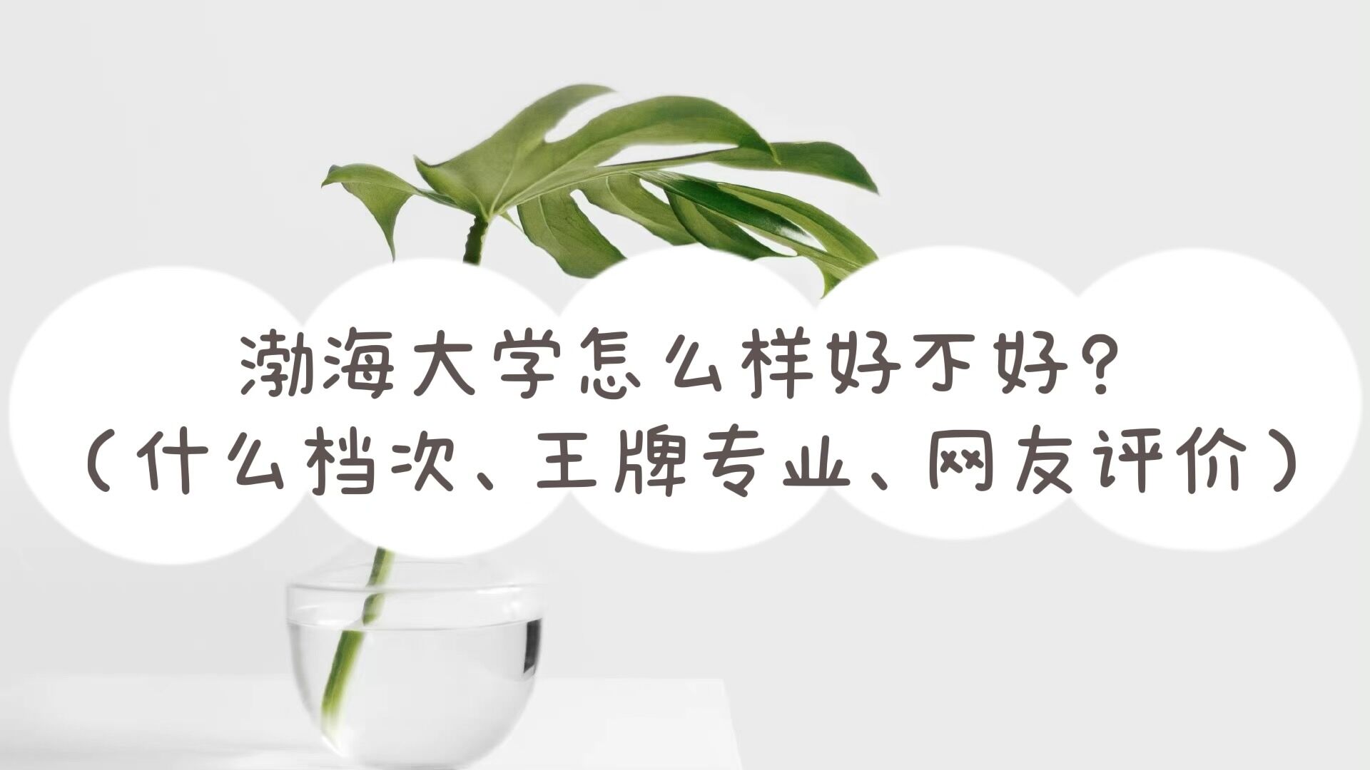 1652085975257028.jpg 渤海大学怎么样好不好(什么档次、王牌专业、网友评价)