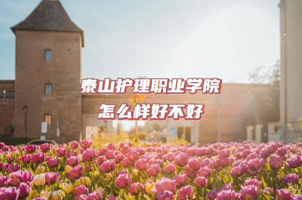 1664178969280258.png 泰山护理职业学院怎么样好不好?(什么档次、院校口碑)