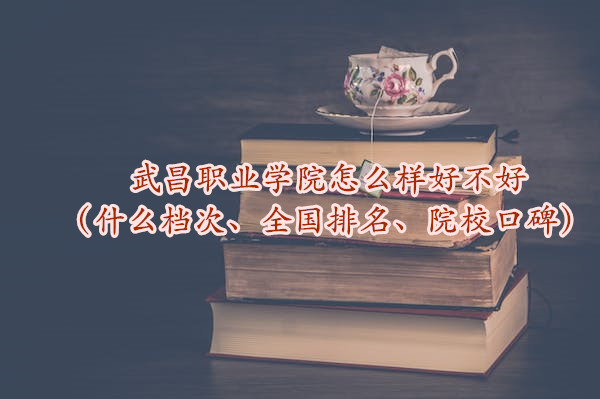 1665654982584444.jpg 武昌职业学院怎么样好不好(什么档次、全国排名、院校口碑)