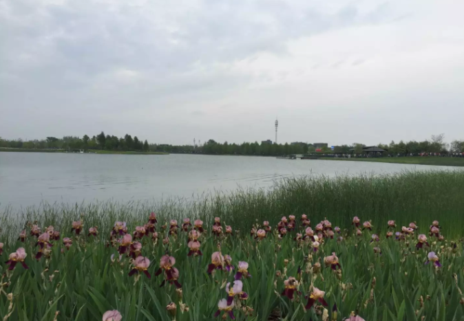 2023ڱƱʱ估ܣôﱨ