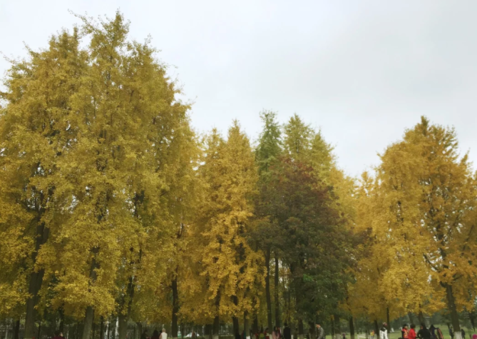 2023ڱƱʱ估ܣôﱨ