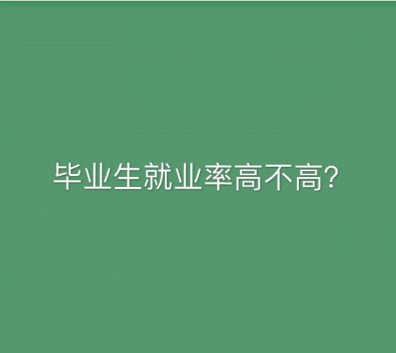 Ͼѧ985211ʲôΣڼҵҵʸ