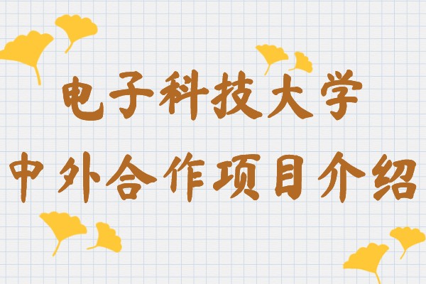电子科技大学留学项目好不好,电子科技大学中外合作项目介绍