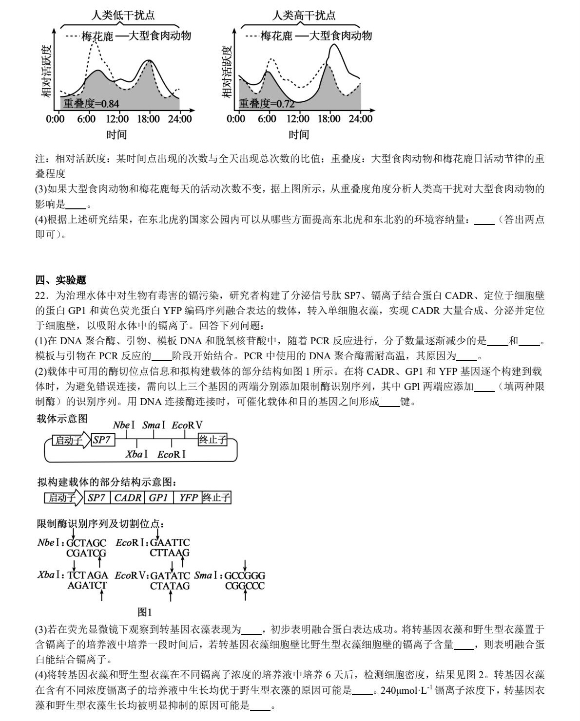 2025河北新高考生物试卷真题及答案解析，附考点题型及分值分布