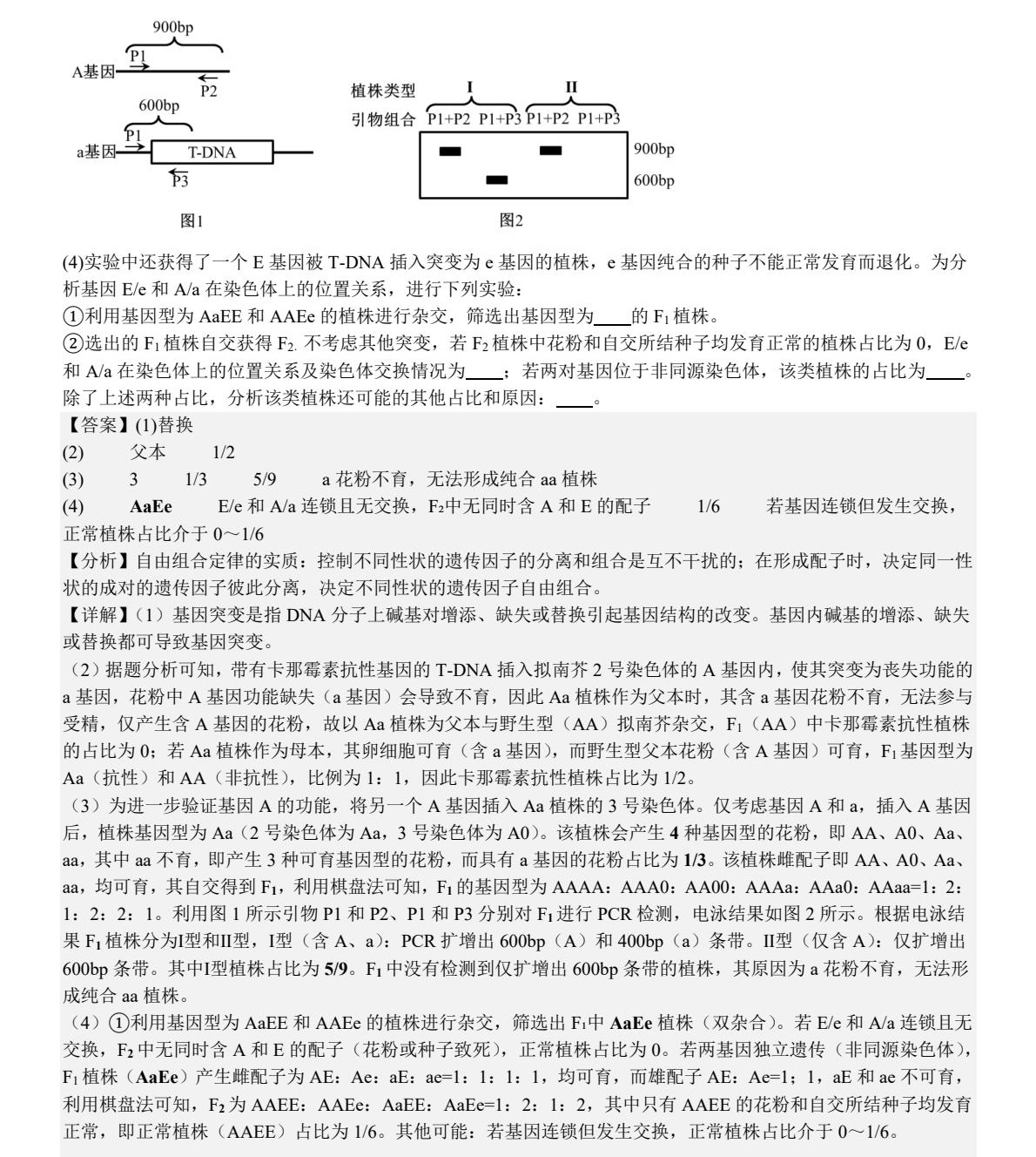 2025河北新高考生物试卷真题及答案解析，附考点题型及分值分布