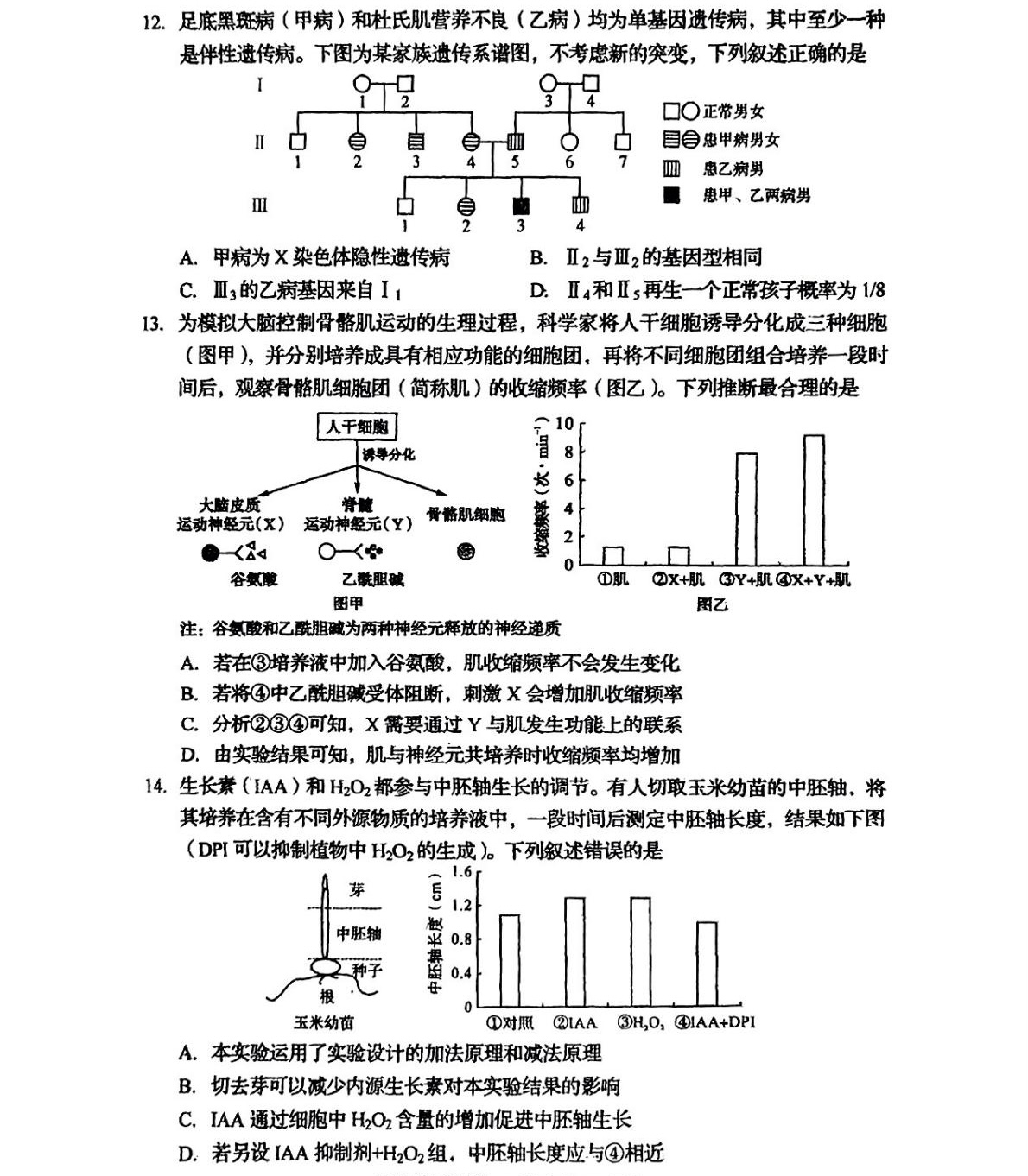 2025四川新高考生物试卷真题及答案解析，附考点题型及分值分布