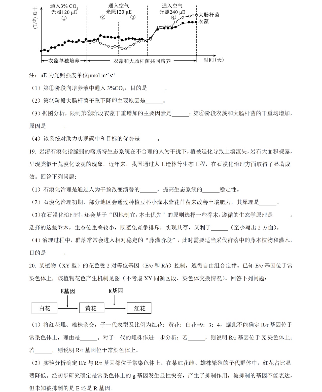 2025广西新高考生物试卷真题及答案解析，附考点题型及分值分布