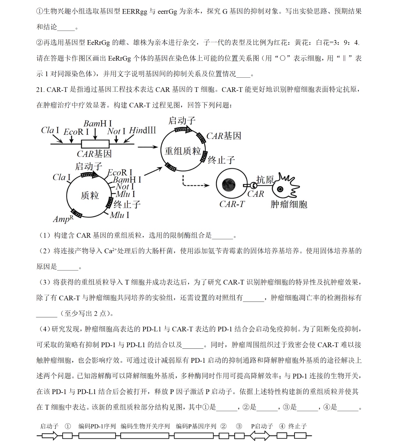 2025广西新高考生物试卷真题及答案解析，附考点题型及分值分布