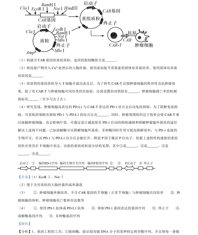 2025广西新高考生物试卷真题及答案解析，附考点题型及分值分布