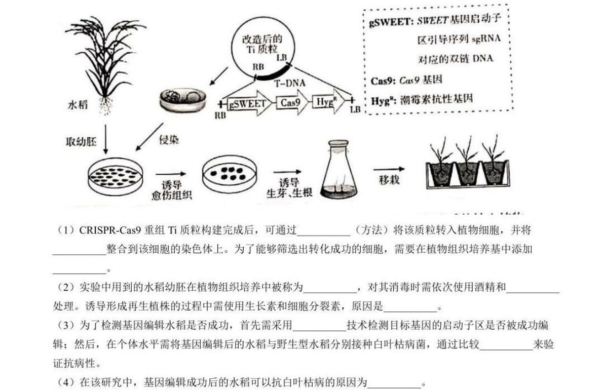 2025甘肃新高考生物试卷真题及答案解析，附考点题型及分值分布