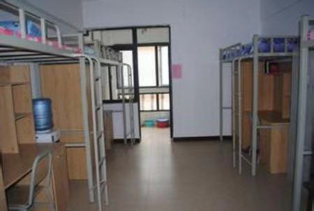 ���ϴ�ѧ��211����ҵ�Ͽɶȸ���ʲôרҵ��ã������������