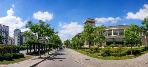 �Ϻ������ѧ����������985������רҵ����Щ����ҵȥ��
