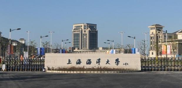 �Ϻ������ѧ����������985������רҵ����Щ����ҵȥ��