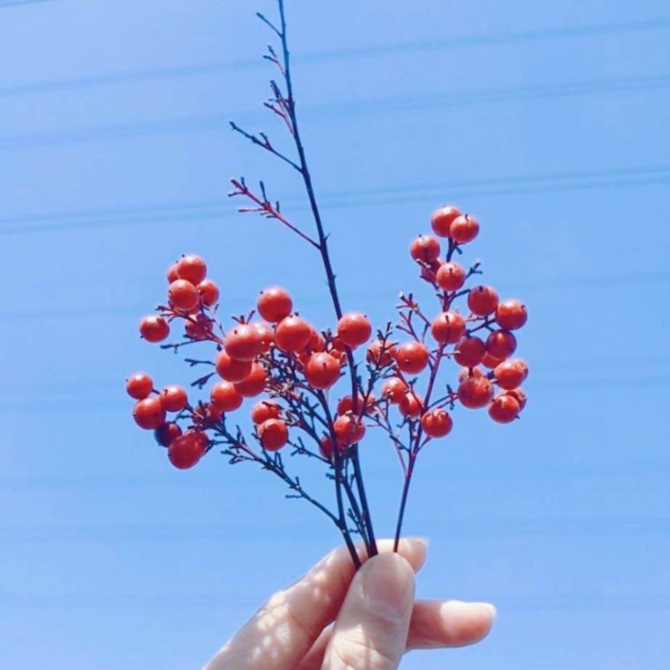 中专教师资格证怎么考?有什么要求?中专教师工资一般多少