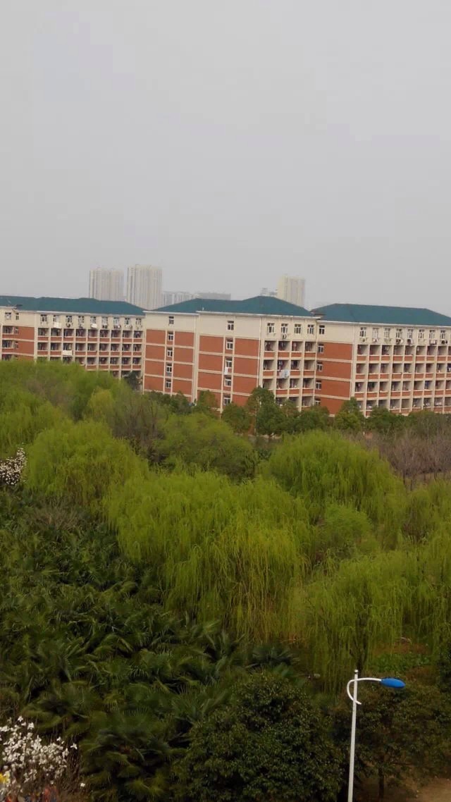 ���뵳У�о����ÿ���ǰ�����?��У�о����������ҵ��·����Щ?