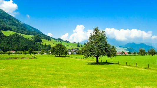 Ӣ��һ���м����ȼ���Ӣ����������ʲôˮƽ�������������Ѳ���