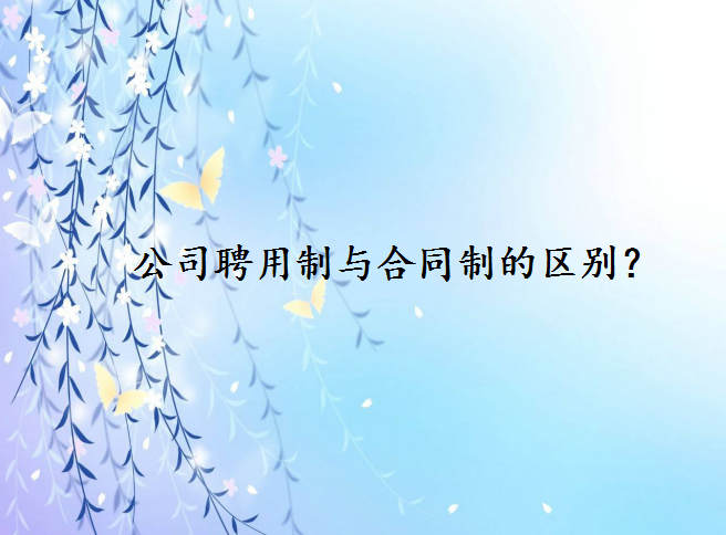 公司聘用制与合同制有什么区别哪个好?合同制员工有编制吗?