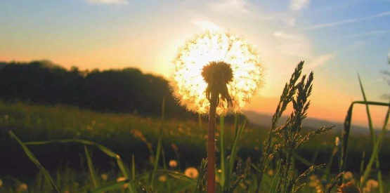 朋友圈晒风景图的句子你发过没?一句简短的风景句子大盘点