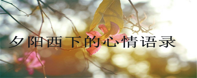 盘点夕阳西下的心情语录,适合发日落的朋友圈
