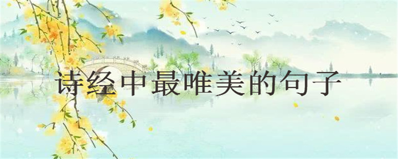 30句诗经中最唯美的句子大盘点你中意哪句?句句美到窒息!