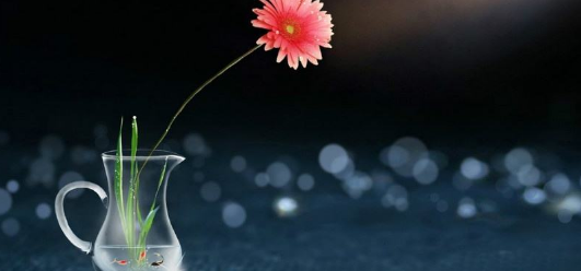 ���ں�ڵľ������˵˵�������������ʹ�����飡