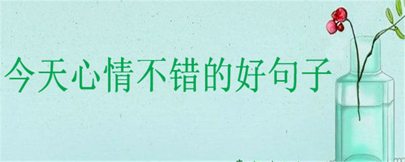 今天心情不错的好句子,描写美好心情的句子