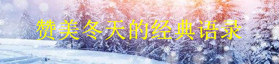 ��������ľ�����¼��ѡ����д��ѩ��ĸɾ��İ�