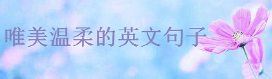 20��Ψ��С���µ�Ӣ�Ķ̾伯����С��ȴ�����������Ӣ�ľ���