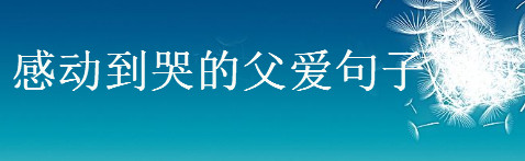 描写父爱感人的句子,感动到哭的父爱句子