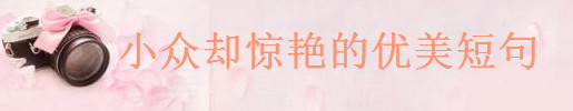 关于优美的短句摘抄,很小众却很惊艳的佳句大全