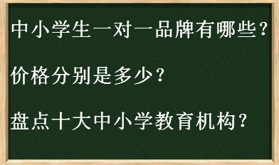 中小学生一对一品牌有哪些价格表揭秘?盘点十大中小学教育机构?