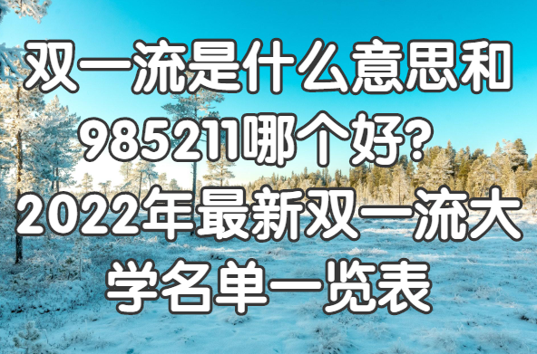 ˫һʲô˼985211ĸã2022˫һѧһ