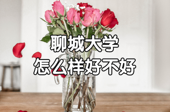 �ĳǴ�ѧ��ô���ò��ã���ʲô���Ρ�����רҵ��ԺУ�ڱ���